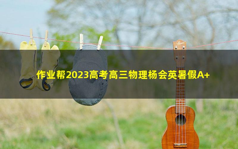 作业帮2023高考高三物理杨会英暑假A+班 