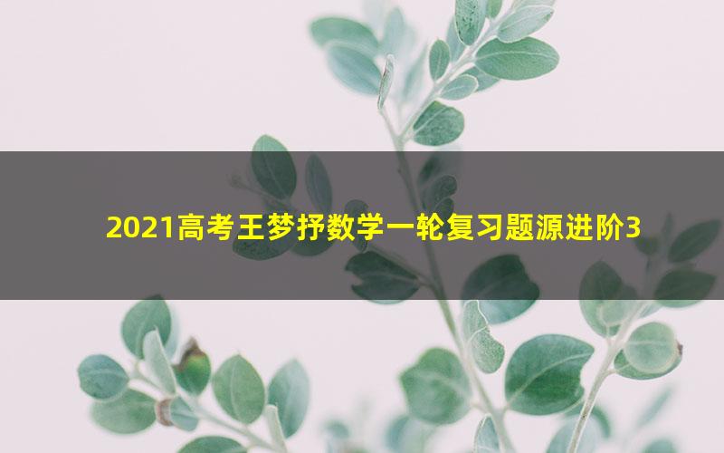 2021高考王梦抒数学一轮复习题源进阶30讲（3.44G高清视频）