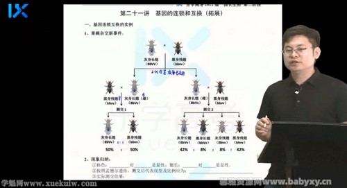 2022乐学高考生物任春磊第二阶段