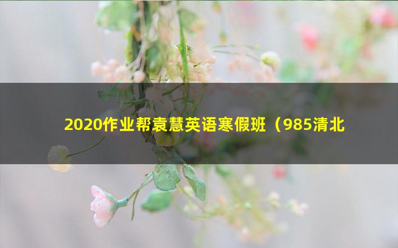 2020作业帮袁慧英语寒假班（985清北班）（高清视频）