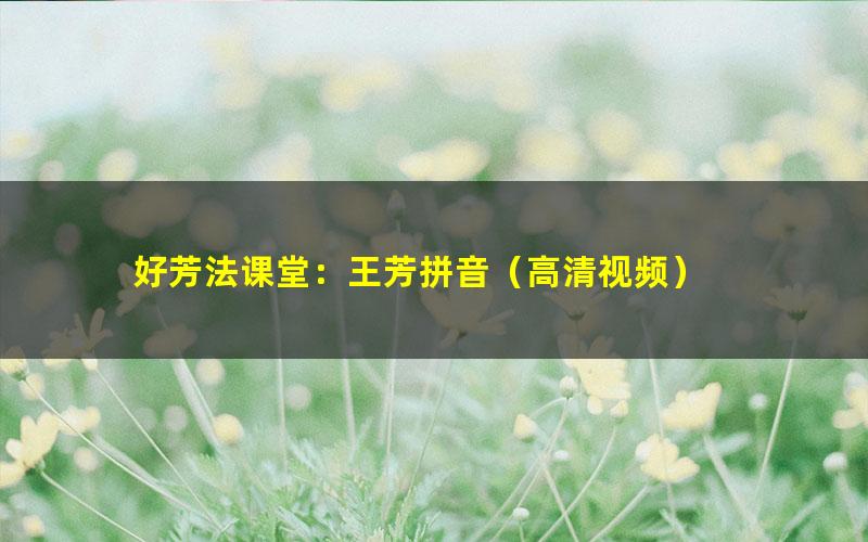 好芳法课堂：王芳拼音（高清视频）