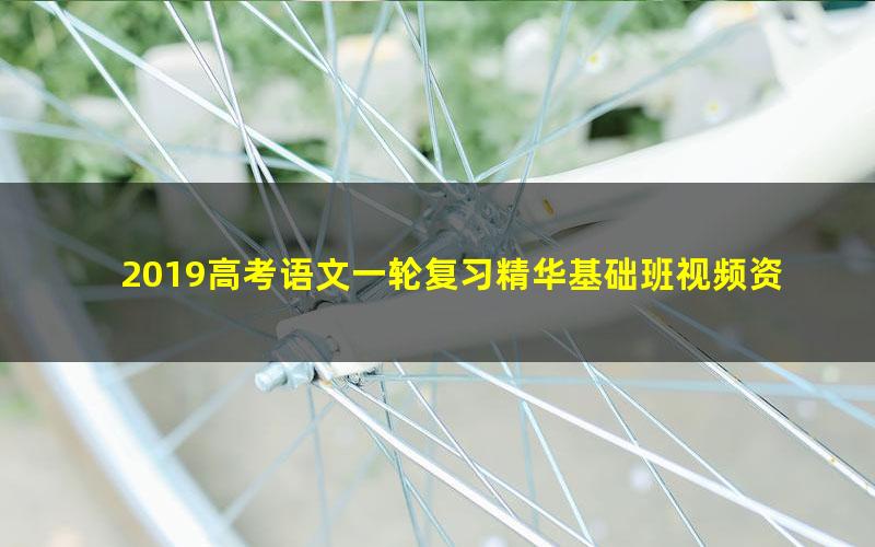 2019高考语文一轮复习精华基础班视频资料(5大讲高清打包)