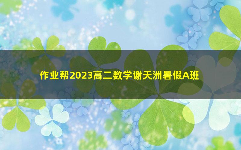 作业帮2023高二数学谢天洲暑假A班 