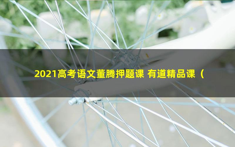 2021高考语文董腾押题课 有道精品课（冲刺班）（高清视频）