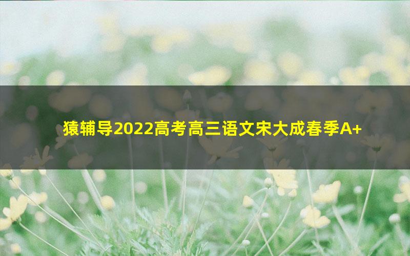 猿辅导2022高考高三语文宋大成春季A+班 