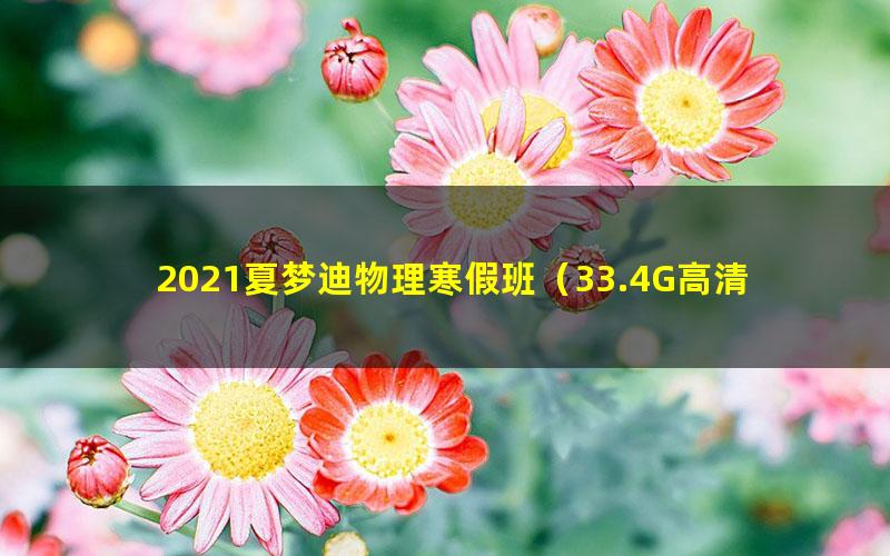 2021夏梦迪物理寒假班（33.4G高清视频）