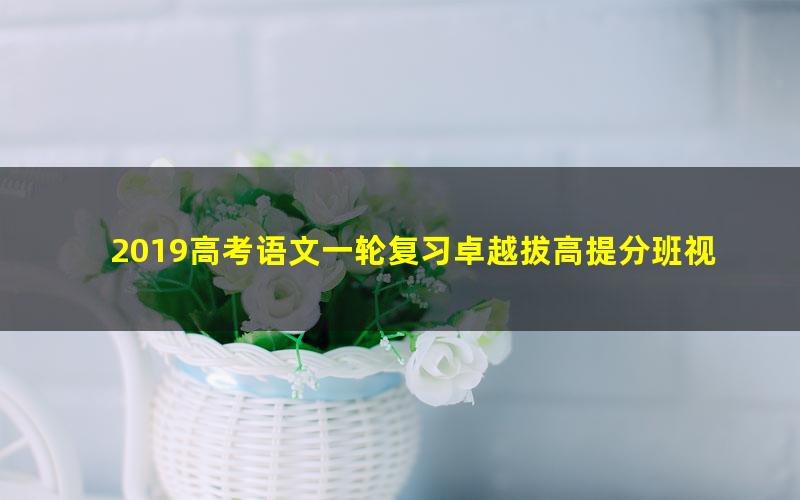 2019高考语文一轮复习卓越拔高提分班视频教程(4大讲高清打包)