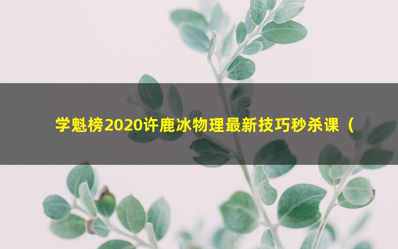 学魁榜2020许鹿冰物理最新技巧秒杀课（35节课）（超清视频）