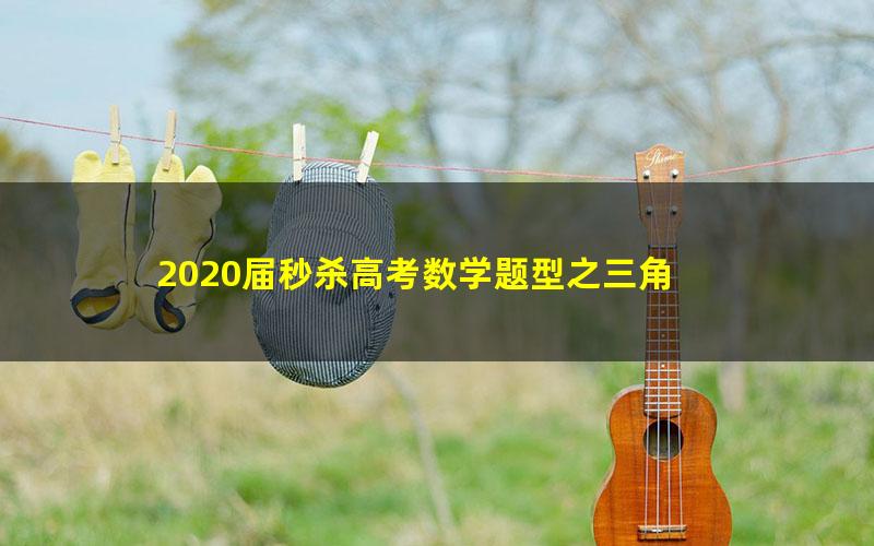 2020届秒杀高考数学题型之三角 