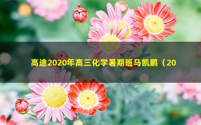 高途2020年高三化学暑期班马凯鹏（2021版3.09G高清视频）