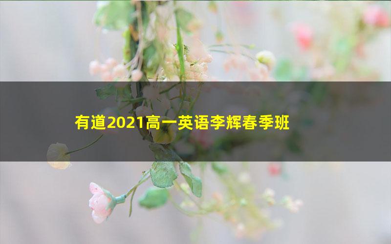 有道2021高一英语李辉春季班