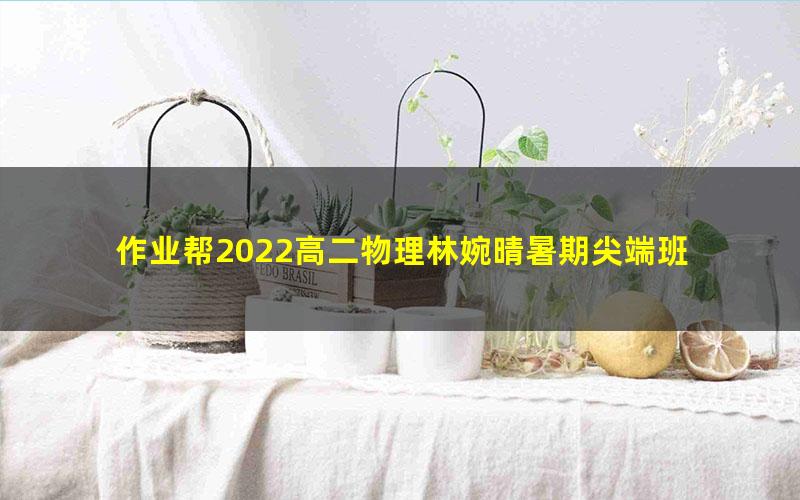 作业帮2022高二物理林婉晴暑期尖端班 