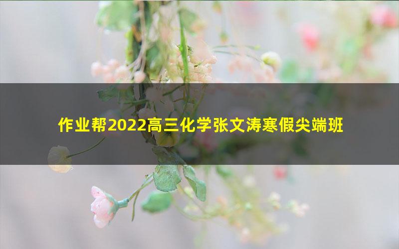 作业帮2022高三化学张文涛寒假尖端班