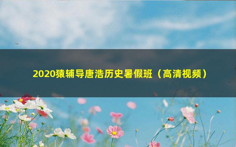 2020猿辅导唐浩历史暑假班（高清视频）