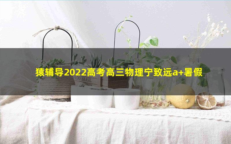 猿辅导2022高考高三物理宁致远a+暑假班（完结）（23.0G高清视频）