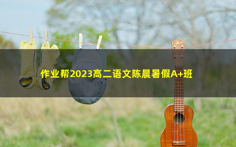 作业帮2023高二语文陈晨暑假A+班 