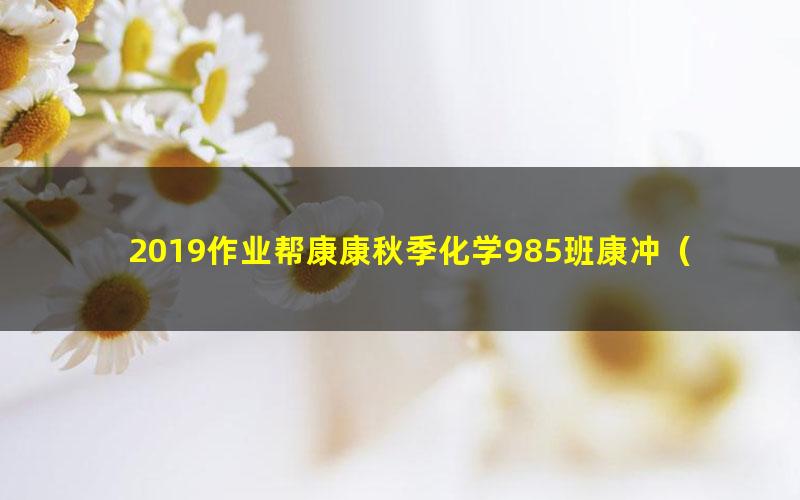 2019作业帮康康秋季化学985班康冲（高清视频）