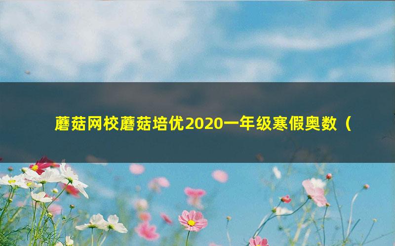 蘑菇网校蘑菇培优2020一年级寒假奥数（完结）（3.39G高清视频）