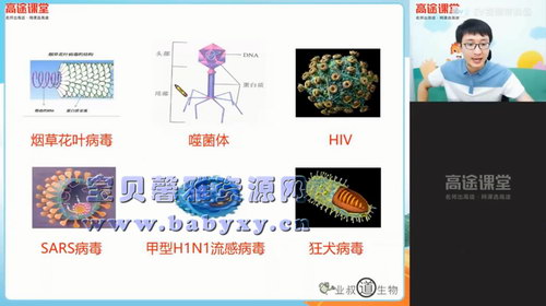 高途2020年高一生物暑期班刘建业（2021版5.74G高清视频）