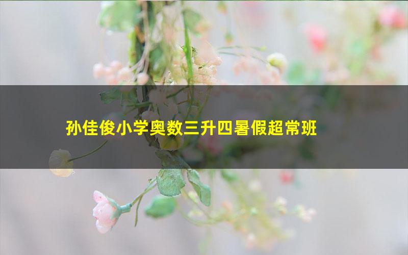 孙佳俊小学奥数三升四暑假超常班