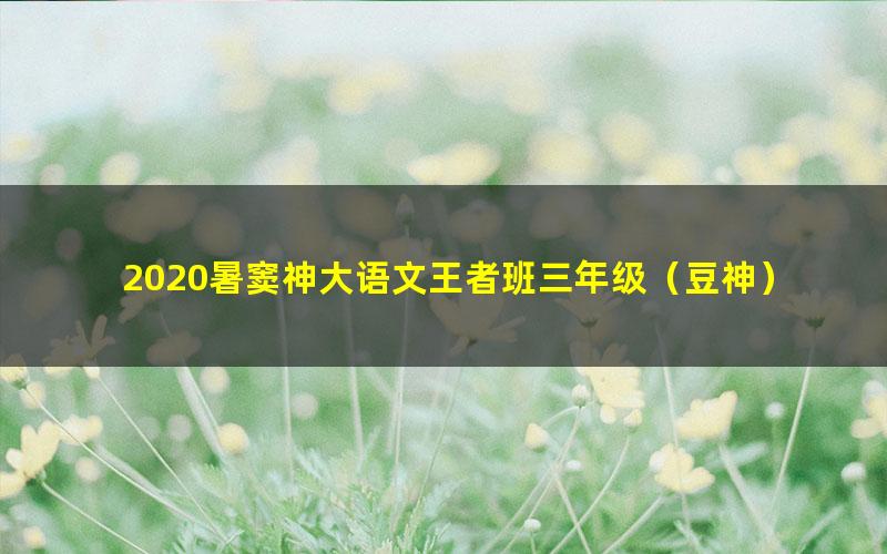 2020暑窦神大语文王者班三年级（豆神）（超清视频）（缺文档）