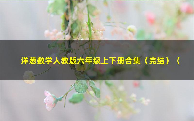 洋葱数学人教版六年级上下册合集(完结)(821M高清视频)