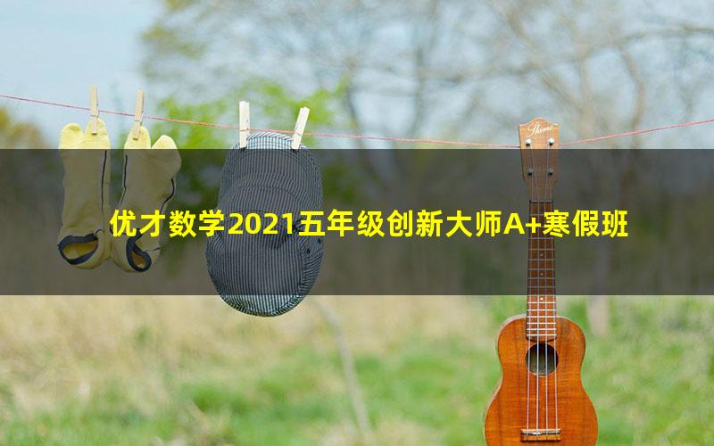 优才数学2021五年级创新大师A+寒假班(完结)