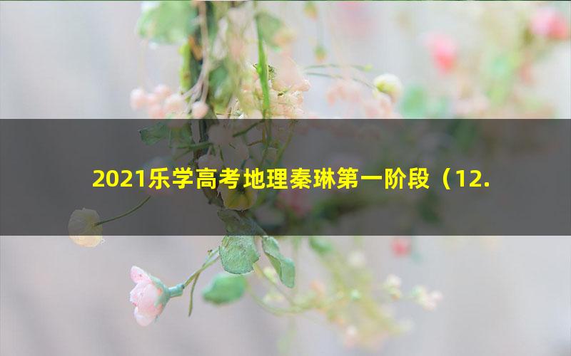 2021乐学高考地理秦琳第一阶段（12.9G高清视频）