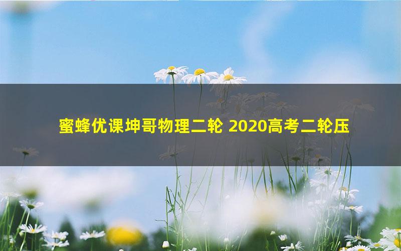 蜜蜂优课坤哥物理二轮 2020高考二轮压轴题专项班 大题难题尽在此（15G高清视频）