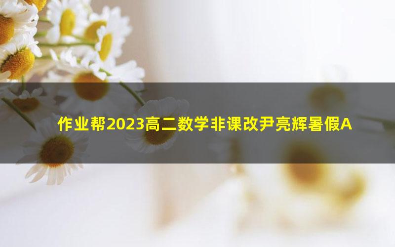 作业帮2023高二数学非课改尹亮辉暑假A+班 