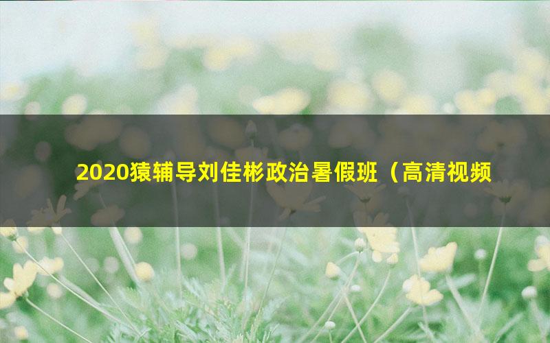 2020猿辅导刘佳彬政治暑假班（高清视频）