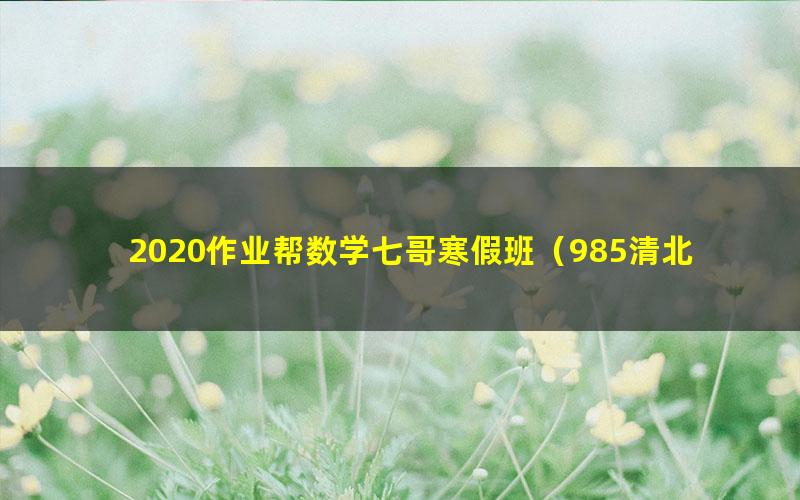 2020作业帮数学七哥寒假班（985清北班）（高清视频）