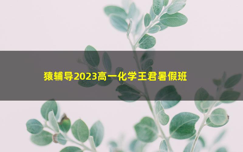 猿辅导2023高一化学王君暑假班 