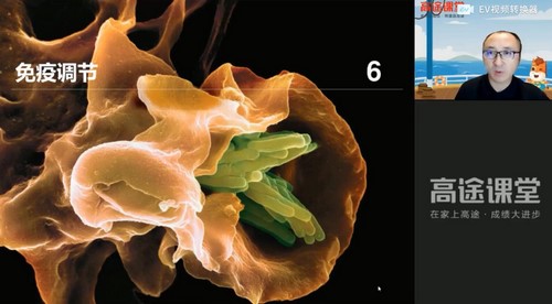 高途2022高二生物张继光暑假班（2.97G高清视频）