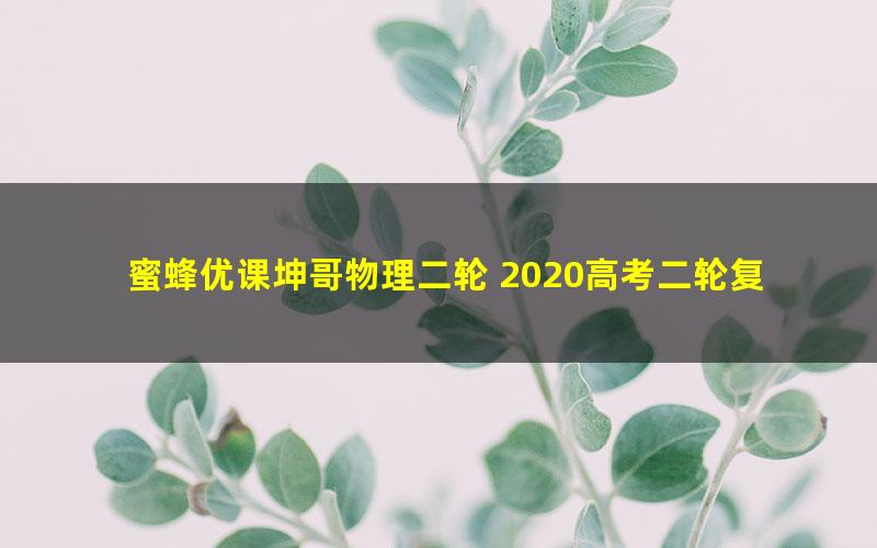 蜜蜂优课坤哥物理二轮 2020高考二轮复习光速解题班 选择实验计算题技巧（20G高清视频）