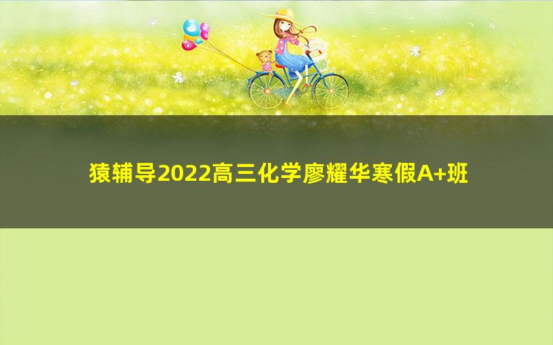 猿辅导2022高三化学廖耀华寒假A+班 