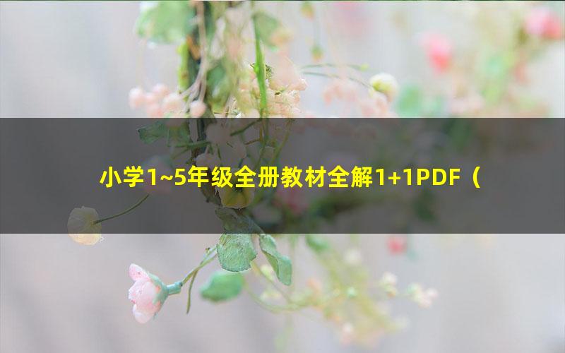 小学1~5年级全册教材全解1+1PDF（英语上海牛津版）