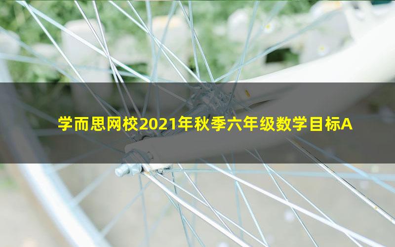 学而思网校2021年秋季六年级数学目标A+班(人教)