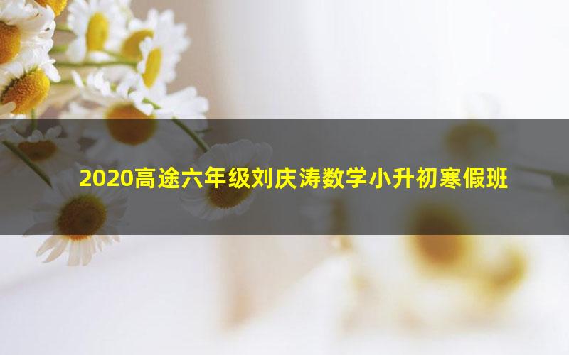 2020高途六年级刘庆涛数学小升初寒假班（3.49G高清视频）