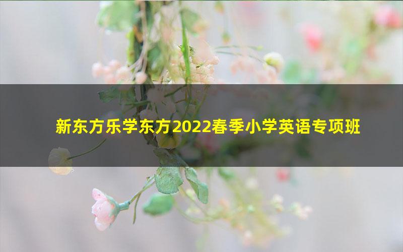 新东方乐学东方2022春季小学英语专项班（乐学语法1阶）（完结）