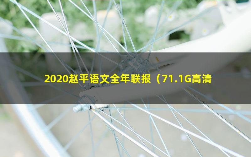 2020赵平语文全年联报（71.1G高清视频有水印）