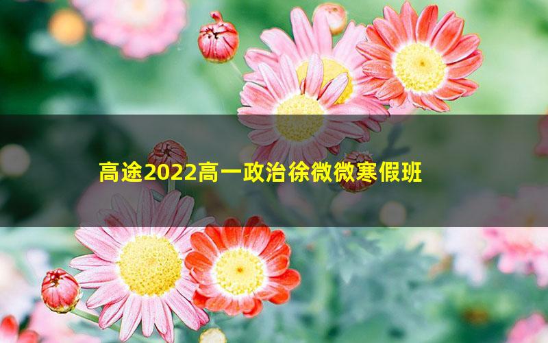 高途2022高一政治徐微微寒假班 