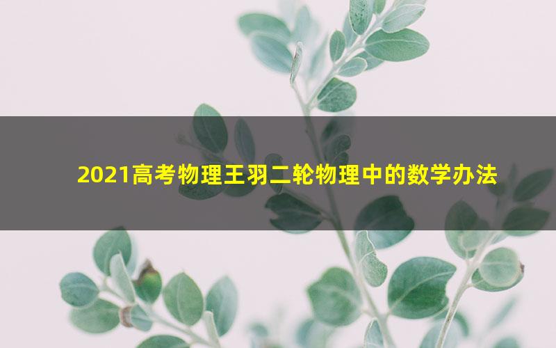 2021高考物理王羽二轮物理中的数学办法（3.30G高清视频）