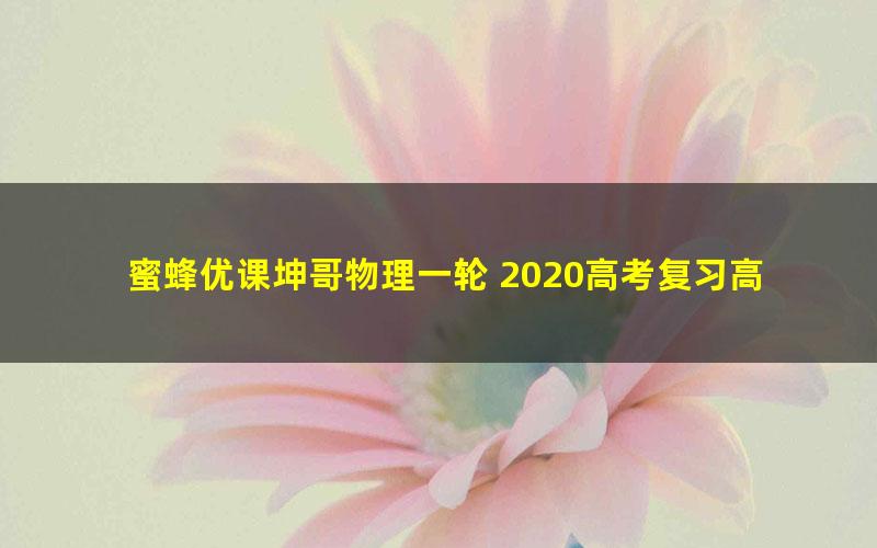 蜜蜂优课坤哥物理一轮 2020高考复习高三一轮电学全套（63G高清视频）