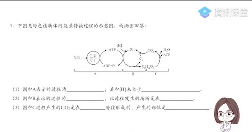 腾讯课堂2022高考生物周芳煜二轮复习模块二：大题专项 