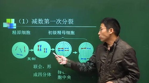 爱学堂高一语文数学英语物理化学生物历史地理政治九科全套视频课程（170G视频课程）