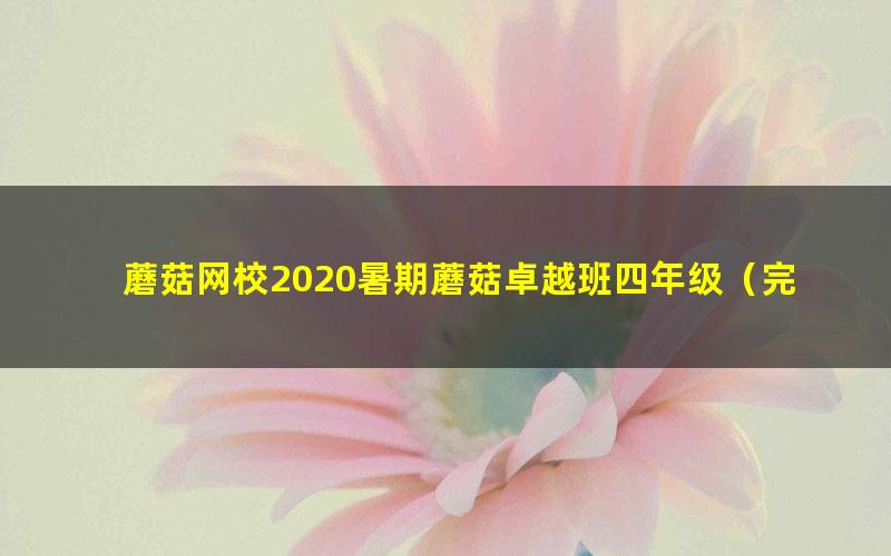 蘑菇网校2020暑期蘑菇卓越班四年级（完结）（3.17G高清视频）