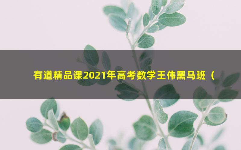 有道精品课2021年高考数学王伟黑马班（完结）（9.41G高清视频）