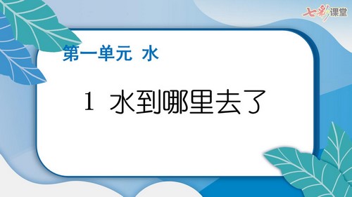 2022秋七彩课堂教科版科学三年级上册教学资源包 