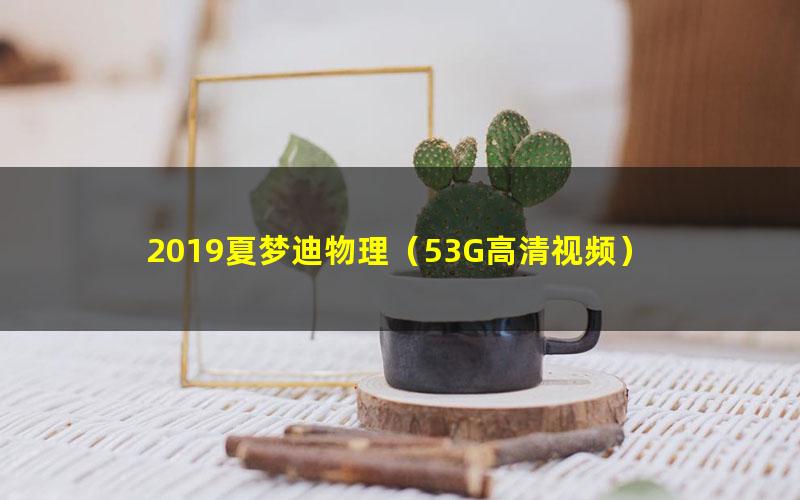 2019夏梦迪物理（53G高清视频）